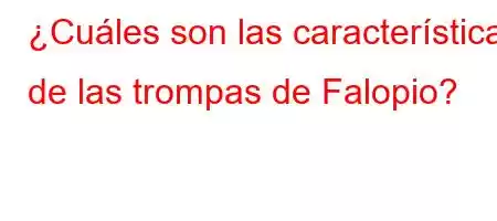 ¿Cuáles son las características de las trompas de Falopio?