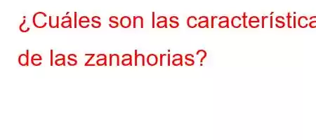 ¿Cuáles son las características de las zanahorias?