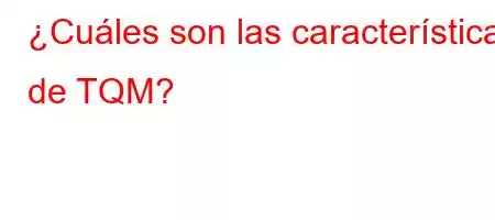 ¿Cuáles son las características de TQM