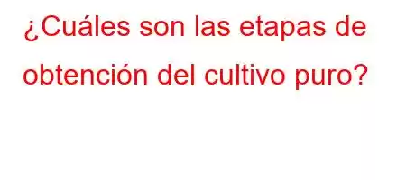 ¿Cuáles son las etapas de obtención del cultivo puro?