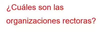 ¿Cuáles son las organizaciones rectoras