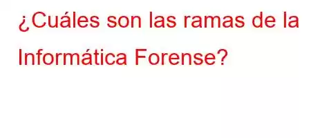 ¿Cuáles son las ramas de la Informática Forense