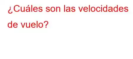 ¿Cuáles son las velocidades de vuelo