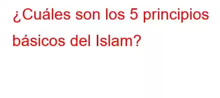 ¿Cuáles son los 5 principios básicos del Islam?