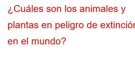 ¿Cuáles son los animales y plantas en peligro de extinción en el mundo?