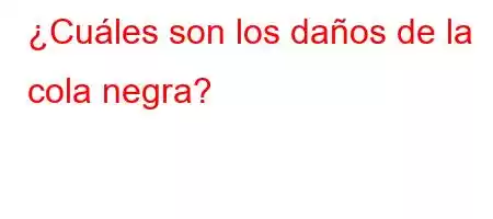 ¿Cuáles son los daños de la cola negra