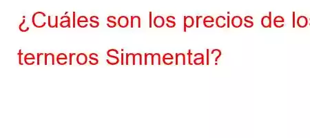 ¿Cuáles son los precios de los terneros Simmental?