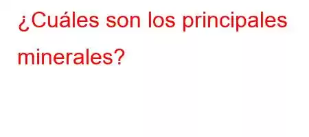 ¿Cuáles son los principales minerales?