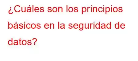 ¿Cuáles son los principios básicos en la seguridad de datos