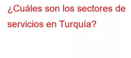 ¿Cuáles son los sectores de servicios en Turquía?