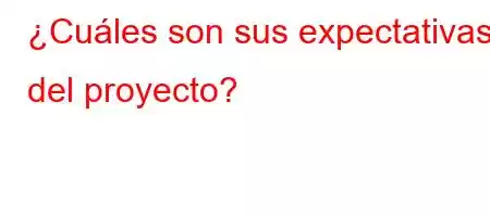 ¿Cuáles son sus expectativas del proyecto?