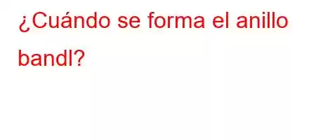 ¿Cuándo se forma el anillo bandl?