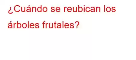 ¿Cuándo se reubican los árboles frutales?