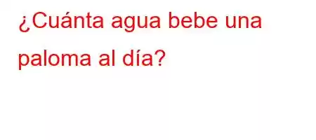 ¿Cuánta agua bebe una paloma al día