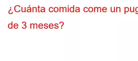 ¿Cuánta comida come un pug de 3 meses?