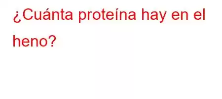 ¿Cuánta proteína hay en el heno?