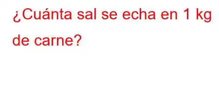 ¿Cuánta sal se echa en 1 kg de carne