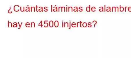 ¿Cuántas láminas de alambre hay en 4500 injertos?