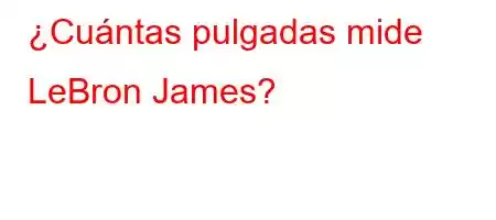 ¿Cuántas pulgadas mide LeBron James?