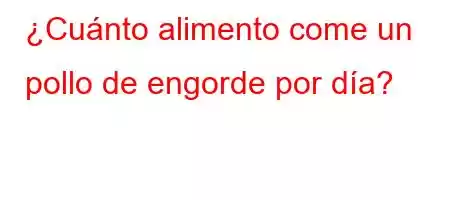 ¿Cuánto alimento come un pollo de engorde por día?