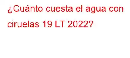 ¿Cuánto cuesta el agua con ciruelas 19 LT 2022?