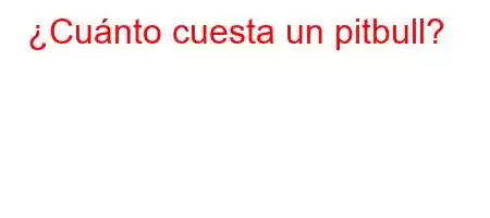 ¿Cuánto cuesta un pitbull?