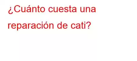 ¿Cuánto cuesta una reparación de cati?