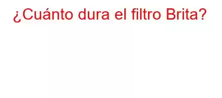 ¿Cuánto dura el filtro Brita?