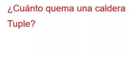 ¿Cuánto quema una caldera Tuple?