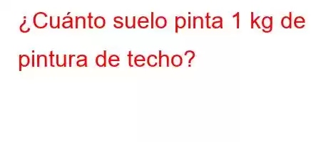 ¿Cuánto suelo pinta 1 kg de pintura de techo?