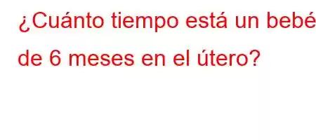 ¿Cuánto tiempo está un bebé de 6 meses en el útero?