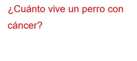 ¿Cuánto vive un perro con cáncer