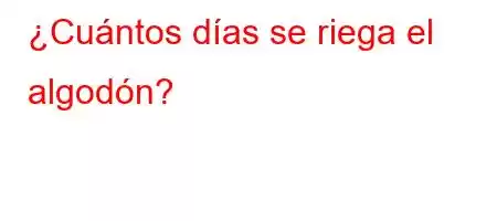 ¿Cuántos días se riega el algodón?