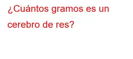 ¿Cuántos gramos es un cerebro de res