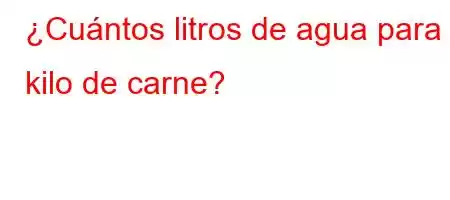 ¿Cuántos litros de agua para 1 kilo de carne?