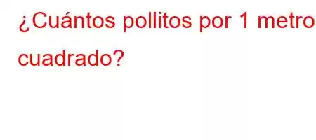 ¿Cuántos pollitos por 1 metro cuadrado?