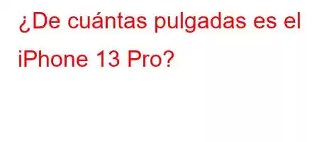 ¿De cuántas pulgadas es el iPhone 13 Pro?