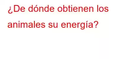 ¿De dónde obtienen los animales su energía?