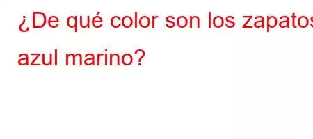 ¿De qué color son los zapatos azul marino?