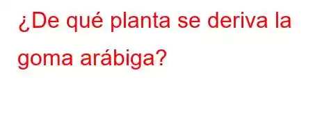 ¿De qué planta se deriva la goma arábiga?