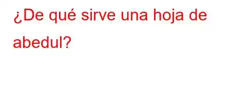 ¿De qué sirve una hoja de abedul?