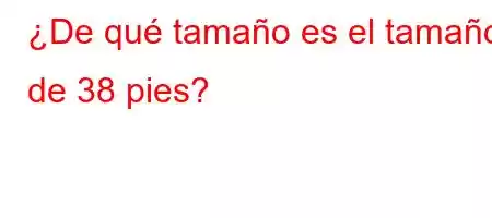 ¿De qué tamaño es el tamaño de 38 pies?