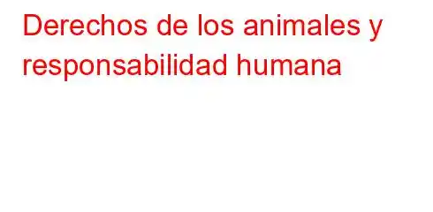 Derechos de los animales y responsabilidad humana