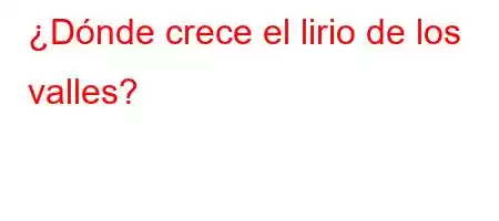 ¿Dónde crece el lirio de los valles?