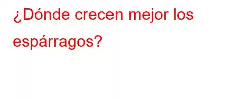 ¿Dónde crecen mejor los espárragos?