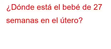 ¿Dónde está el bebé de 27 semanas en el útero