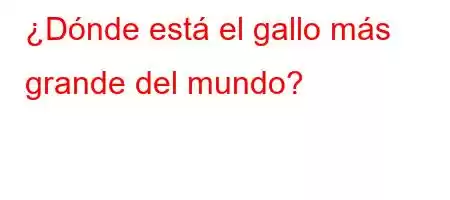 ¿Dónde está el gallo más grande del mundo?