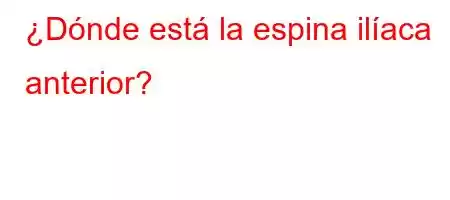 ¿Dónde está la espina ilíaca anterior