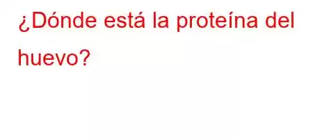 ¿Dónde está la proteína del huevo?