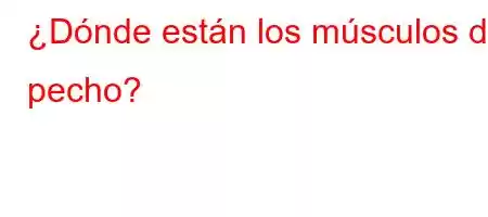 ¿Dónde están los músculos del pecho?